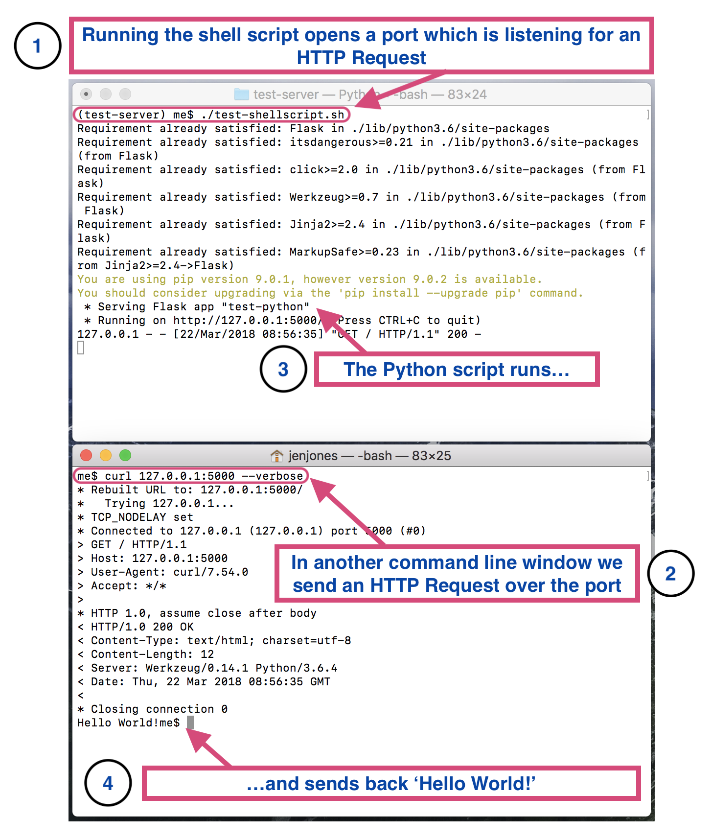 the two sides of the GET request in bash